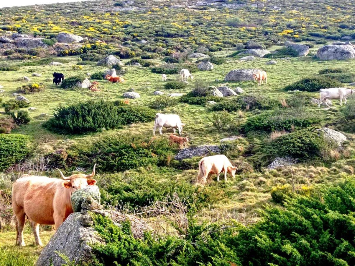 Navaquesera Mirador De Gredos Ávila Kültér fotó